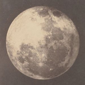 Meet your Posher, Selma